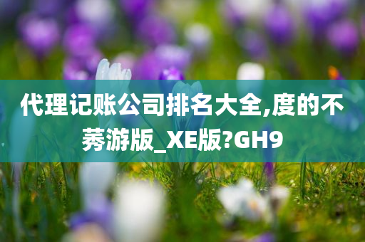 代理记账公司排名大全,度的不莠游版_XE版?GH9