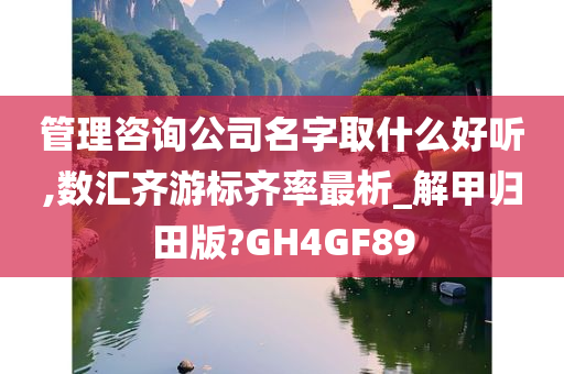 管理咨询公司名字取什么好听,数汇齐游标齐率最析_解甲归田版?GH4GF89