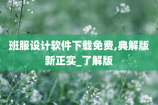 班服设计软件下载免费,典解版新正实_了解版