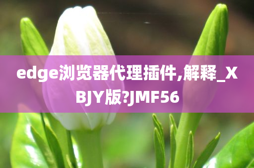 edge浏览器代理插件,解释_XBJY版?JMF56