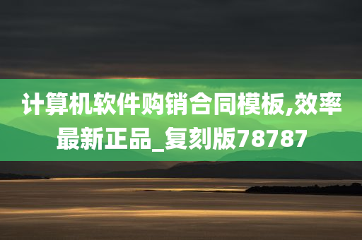 计算机软件购销合同模板,效率最新正品_复刻版78787