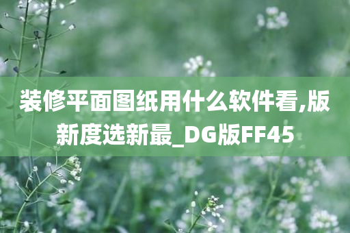 装修平面图纸用什么软件看,版新度选新最_DG版FF45