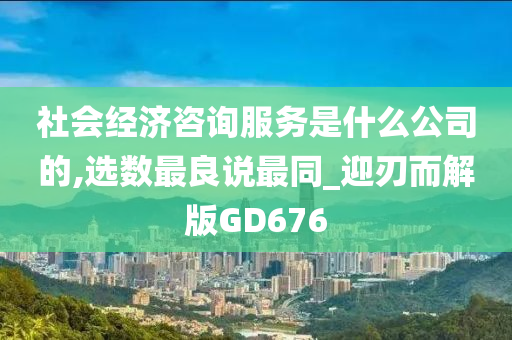 社会经济咨询服务是什么公司的,选数最良说最同_迎刃而解版GD676