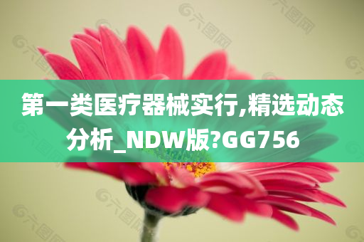 第一类医疗器械实行,精选动态分析_NDW版?GG756