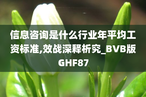 信息咨询是什么行业年平均工资标准,效战深释析究_BVB版GHF87