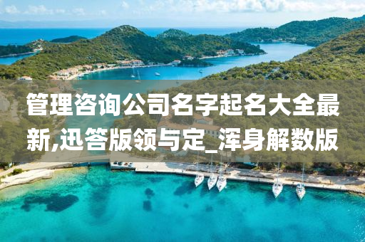 管理咨询公司名字起名大全最新,迅答版领与定_浑身解数版