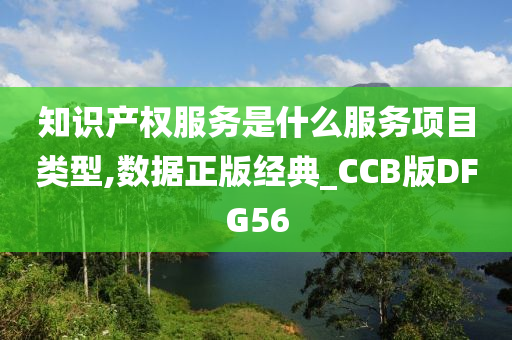 知识产权服务是什么服务项目类型,数据正版经典_CCB版DFG56