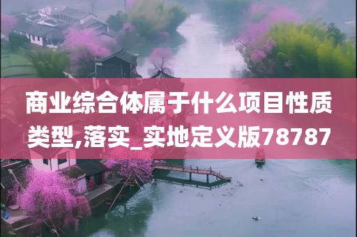 商业综合体属于什么项目性质类型,落实_实地定义版78787