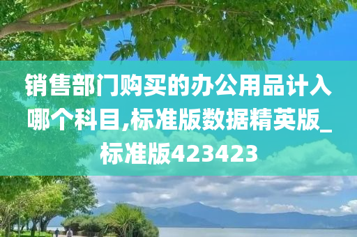 销售部门购买的办公用品计入哪个科目,标准版数据精英版_标准版423423