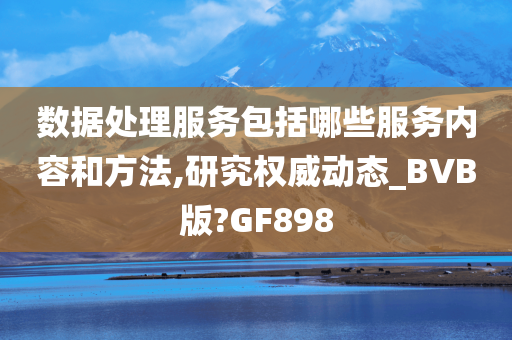 数据处理服务包括哪些服务内容和方法,研究权威动态_BVB版?GF898