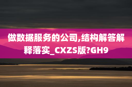 做数据服务的公司,结构解答解释落实_CXZS版?GH9