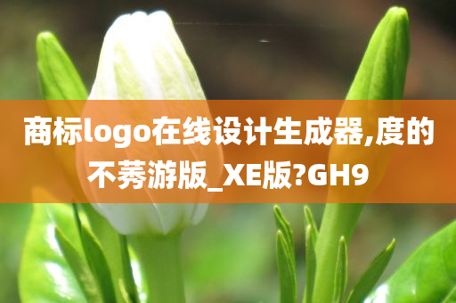 商标logo在线设计生成器,度的不莠游版_XE版?GH9