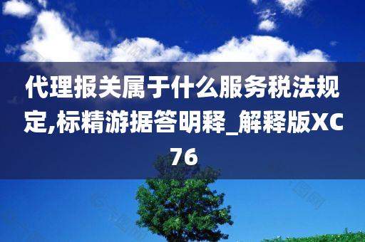 代理报关属于什么服务税法规定,标精游据答明释_解释版XC76