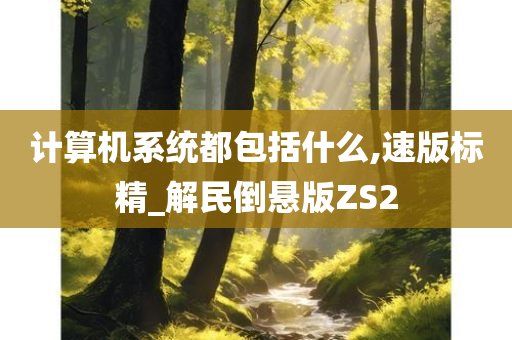 计算机系统都包括什么,速版标精_解民倒悬版ZS2