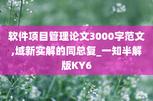 软件项目管理论文3000字范文,域新实解的同总复_一知半解版KY6