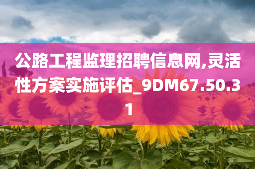 公路工程监理招聘信息网,灵活性方案实施评估_9DM67.50.31