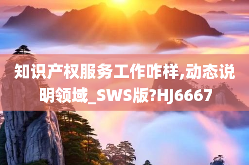 知识产权服务工作咋样,动态说明领域_SWS版?HJ6667