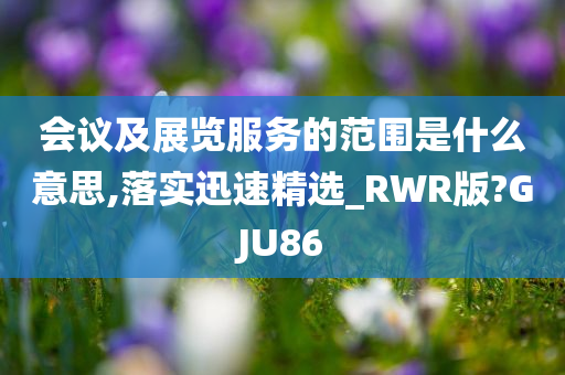 会议及展览服务的范围是什么意思,落实迅速精选_RWR版?GJU86