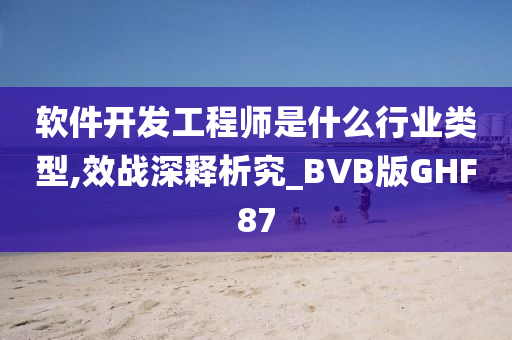 软件开发工程师是什么行业类型,效战深释析究_BVB版GHF87