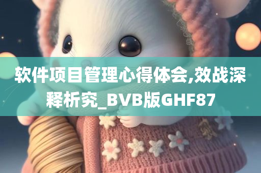 软件项目管理心得体会,效战深释析究_BVB版GHF87