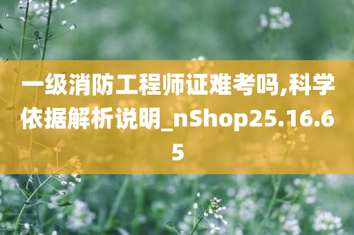 一级消防工程师证难考吗,科学依据解析说明_nShop25.16.65