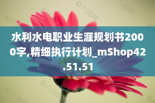 水利水电职业生涯规划书2000字,精细执行计划_mShop42.51.51