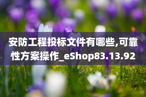 安防工程投标文件有哪些,可靠性方案操作_eShop83.13.92