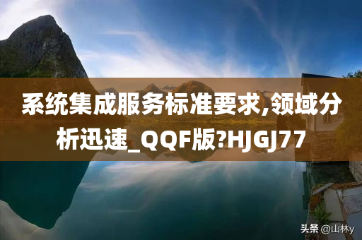 系统集成服务标准要求,领域分析迅速_QQF版?HJGJ77