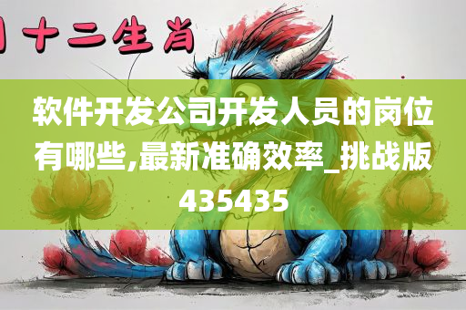 软件开发公司开发人员的岗位有哪些,最新准确效率_挑战版435435