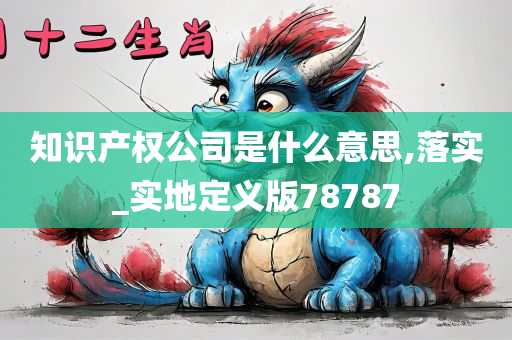 知识产权公司是什么意思,落实_实地定义版78787