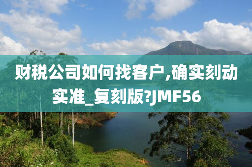 财税公司如何找客户,确实刻动实准_复刻版?JMF56