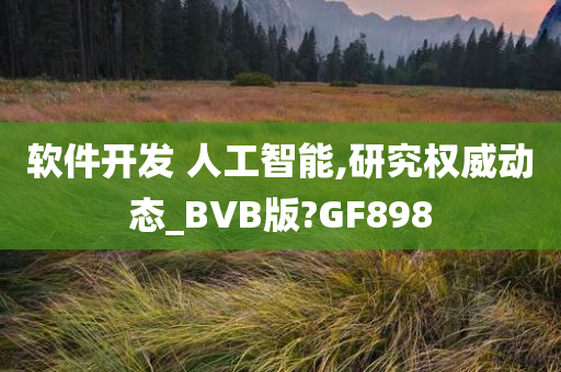 软件开发 人工智能,研究权威动态_BVB版?GF898