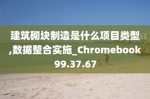 建筑砌块制造是什么项目类型,数据整合实施_Chromebook99.37.67