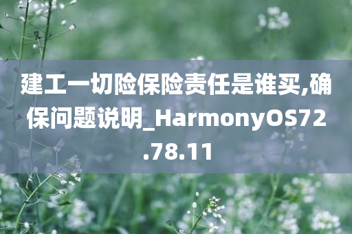 建工一切险保险责任是谁买,确保问题说明_HarmonyOS72.78.11