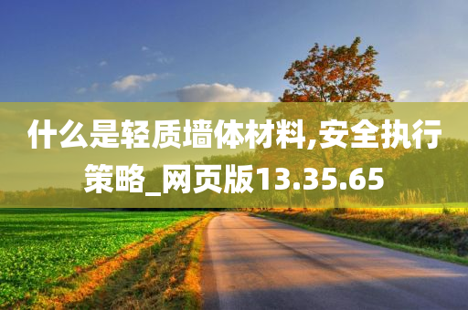 什么是轻质墙体材料,安全执行策略_网页版13.35.65