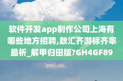 软件开发app制作公司上海有哪些地方招聘,数汇齐游标齐率最析_解甲归田版?GH4GF89