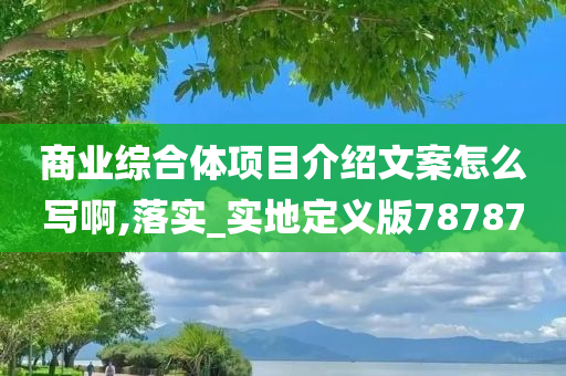 商业综合体项目介绍文案怎么写啊,落实_实地定义版78787