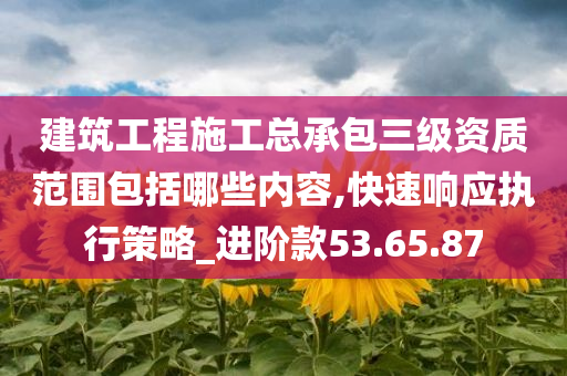 建筑工程施工总承包三级资质范围包括哪些内容,快速响应执行策略_进阶款53.65.87