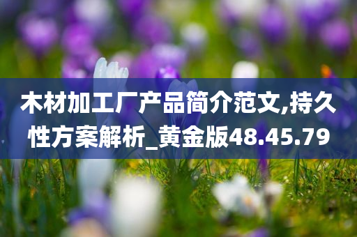 木材加工厂产品简介范文,持久性方案解析_黄金版48.45.79