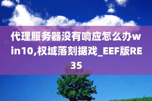 代理服务器没有响应怎么办win10,权域落刻据戏_EEF版RE35