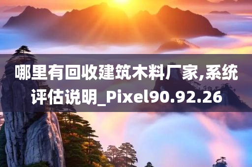 哪里有回收建筑木料厂家,系统评估说明_Pixel90.92.26