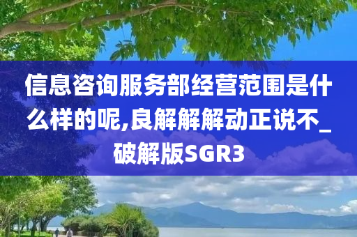 信息咨询服务部经营范围是什么样的呢,良解解解动正说不_破解版SGR3