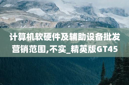 计算机软硬件及辅助设备批发营销范围,不实_精英版GT45