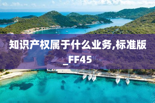 知识产权属于什么业务,标准版_FF45