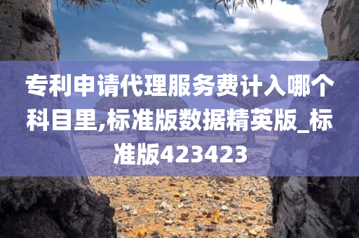 专利申请代理服务费计入哪个科目里,标准版数据精英版_标准版423423