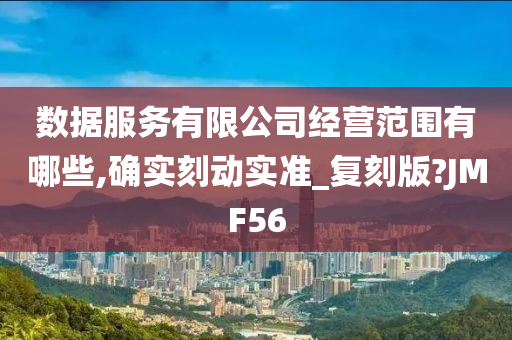 数据服务有限公司经营范围有哪些,确实刻动实准_复刻版?JMF56