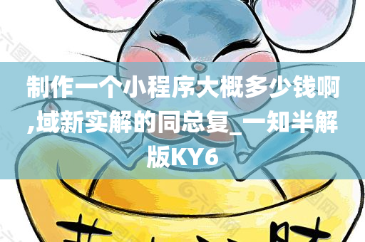 制作一个小程序大概多少钱啊,域新实解的同总复_一知半解版KY6