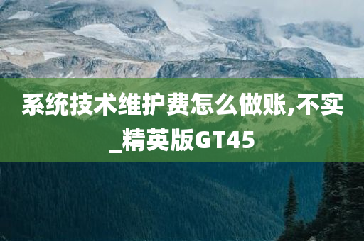 系统技术维护费怎么做账,不实_精英版GT45