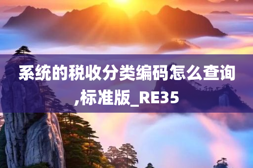 系统的税收分类编码怎么查询,标准版_RE35