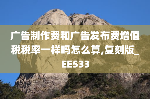 广告制作费和广告发布费增值税税率一样吗怎么算,复刻版_EE533